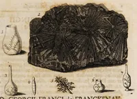 Picture 5 of 7 from De palingenesia, sive resuscitatione artificiali plantarum, hominum et animalium e suis cineribus liber singularis (1717), leaf 105