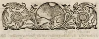 Picture 4 of 7 from De palingenesia, sive resuscitatione artificiali plantarum, hominum et animalium e suis cineribus liber singularis (1717), leaf 95