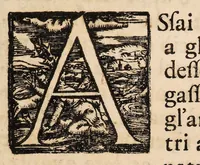 An illustration from L'arte di ben conoscere, e distinguere le qualità de' cavalli, d'introdurre, e conservare una razza nobile, e di risanare il cavallo dà mali, à quali soggiace ... (1700)