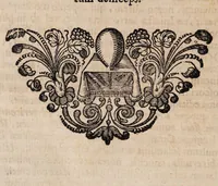 An illustration from Tractatus physico-medicus de incantamentis, sexaginta casus ... complectens ... Cui ... accesserunt, varia huc spectantia (1715)