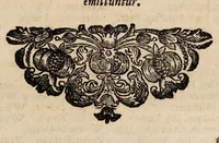 An illustration from Tractatus physico-medicus de incantamentis, sexaginta casus ... complectens ... Cui ... accesserunt, varia huc spectantia (1715)