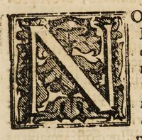 An illustration from Enchyridium practicum medicum seu ad manus libellus; atque appendix secunda ad libellum de conservanda valetudine. In quo domestica, & usitatoria auxilia recentiorum. Pro universis morbis curandis exarantur. Sex particulis ... dissectum ... (1700)