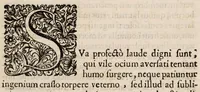An illustration from Enchyridium practicum medicum seu ad manus libellus; atque appendix secunda ad libellum de conservanda valetudine. In quo domestica, & usitatoria auxilia recentiorum. Pro universis morbis curandis exarantur. Sex particulis ... dissectum ... (1700)