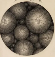 An illustration from A dissertation on comets, extracted from the writings of the most eminent modern astronomers and philosophers. In a letter to a reverend professor. To which is prefixed the theory of a comet (1700)