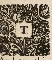Picture 1 of 2 from Memoirs of the most material transactions in England, for the last hundred years, preceding the revolution in 1688. [Appendix ... of instruments and original papers] (1700), leaf 11