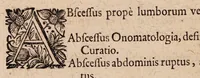 An illustration from Gallicinium medico-practicum. Sive consiliorum, observationum et curationum medicinalium novarum centuriae duae, cum dimidia ... (1700)
