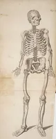 An illustration from Mellificium chirurgiae; or, the marrow of chirurgery. With the anatomy of human bodies according to the most modern anatomists, illustrated with many anatomical observations. Institutions of physick, with Hippocrates's aphorisms largely commented upon, The marrow of physick, shewing the causes, signs, and cures of most diseases incident to human bodies ... (1700)