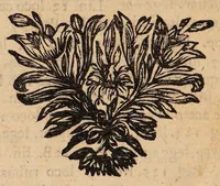 An illustration from Agonisma de hydrope curiosum ad recentiorum mentem delineatum (1700)