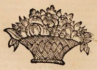 Picture 8 of 20 from Institutiones physicae ad usum scholarum accomodatae (1700), leaf 292