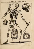 An illustration from Il corpo-umano, o breve storia, dove con nuovo metodo si descrivono in compendio tutti gli organi suoi, e i loro principali ufizi, per istruire a bene intendere, secondo il nuovo sistema, la teorica e pratica medicinale (1700)