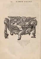 Picture 16 of 41 from Il corpo-umano, o breve storia, dove con nuovo metodo si descrivono in compendio tutti gli organi suoi, e i loro principali ufizi, per istruire a bene intendere, secondo il nuovo sistema, la teorica e pratica medicinale (1700), leaf 144