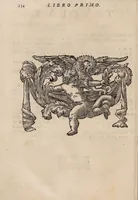 Picture 20 of 41 from Il corpo-umano, o breve storia, dove con nuovo metodo si descrivono in compendio tutti gli organi suoi, e i loro principali ufizi, per istruire a bene intendere, secondo il nuovo sistema, la teorica e pratica medicinale (1700), leaf 154