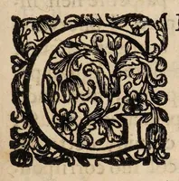 Picture 27 of 41 from Il corpo-umano, o breve storia, dove con nuovo metodo si descrivono in compendio tutti gli organi suoi, e i loro principali ufizi, per istruire a bene intendere, secondo il nuovo sistema, la teorica e pratica medicinale (1700), leaf 197