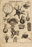 Picture 29 of 41 from Il corpo-umano, o breve storia, dove con nuovo metodo si descrivono in compendio tutti gli organi suoi, e i loro principali ufizi, per istruire a bene intendere, secondo il nuovo sistema, la teorica e pratica medicinale (1700), leaf 217