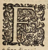 An illustration from Il corpo-umano, o breve storia, dove con nuovo metodo si descrivono in compendio tutti gli organi suoi, e i loro principali ufizi, per istruire a bene intendere, secondo il nuovo sistema, la teorica e pratica medicinale (1700)