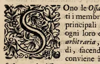 Picture 11 of 41 from Il corpo-umano, o breve storia, dove con nuovo metodo si descrivono in compendio tutti gli organi suoi, e i loro principali ufizi, per istruire a bene intendere, secondo il nuovo sistema, la teorica e pratica medicinale (1700), leaf 73