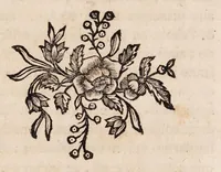An illustration from Traité de la couleur de la peau humaine en général; de celle des negres en particulier, et de la métamorphose d'une de ces couleurs en l'autre, soit de naissance, soit accidentellement. Ouvrage divisé en trois parties (1765)