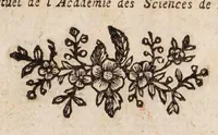 An illustration from Traité de la couleur de la peau humaine en général; de celle des negres en particulier, et de la métamorphose d'une de ces couleurs en l'autre, soit de naissance, soit accidentellement. Ouvrage divisé en trois parties (1765)