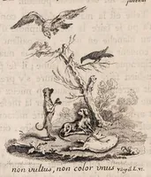 Picture 6 of 6 from Traité de la couleur de la peau humaine en général; de celle des negres en particulier, et de la métamorphose d'une de ces couleurs en l'autre, soit de naissance, soit accidentellement. Ouvrage divisé en trois parties (1765), leaf 208