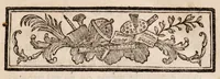 Picture 2 of 6 from Traité de la couleur de la peau humaine en général; de celle des negres en particulier, et de la métamorphose d'une de ces couleurs en l'autre, soit de naissance, soit accidentellement. Ouvrage divisé en trois parties (1765), leaf 21