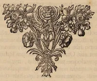 An illustration from Antonii van Dale poliatri Harlemensis De oraculis veterum ethnicorum dissertationes duae, quarum nunc prior agit de eorum origine atque auctoribus; secunda de ipsorum duratione et interitu (1700)