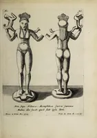 Picture 2 of 13 from Signa antiqua (1700), leaf 49