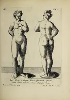 An illustration from Signa antiqua (1700)