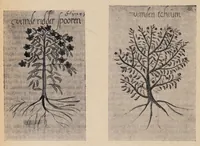 An illustration from Griechische Zauberpapyri und das Gemeinde- und Dankgebet im I. Klemensbriefe (1909)