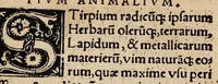 An illustration from Georgii Vallae Placentini viri clariss. De natura partium animalium (1529)