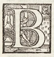 Picture 6 of 6 from Ioannis Baptistae Susii, philosophi, ac medici mirandulensis. Libri tres. De venis edirectò secandis; : in quibus Matthaei Curtij praeceptoris sui sententia defenditur, aduersus Andream Turinum, Benedictum Victorium, Victorem Trincauellium, & Andream Vesalium (1559), leaf 70