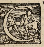 An illustration from Nicolai Massae Examen de venae sectione et sanguinis missione : in febribus ex humorum putredine ortis, ac in aliis praeter naturam affectibus (1568)