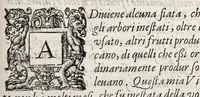 An illustration from Discorsi d'intorno a tumori ed ossi frontespiziali (1585)