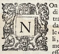 An illustration from Discorsi d'intorno a tumori ed ossi frontespiziali (1585)