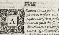An illustration from Discorsi d'intorno a tumori ed ossi frontespiziali (1585)