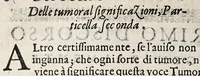 An illustration from Discorsi d'intorno a tumori ed ossi frontespiziali (1585)