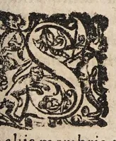 Picture 22 of 38 from Tractatvs tres exactissimi (1599), leaf 291