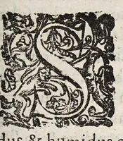 Picture 27 of 38 from Tractatvs tres exactissimi (1599), leaf 319
