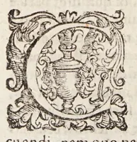 Picture 30 of 38 from Tractatvs tres exactissimi (1599), leaf 324