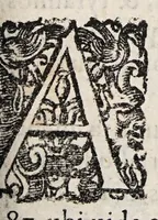 Picture 13 of 38 from Tractatvs tres exactissimi (1599), leaf 95