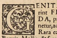 An illustration from Uterus muliebris hoc est de indiciis cognoscendi temperamenta uteri, vel partium genitalium ipsius mulieris. Liber unus ... Graecorum, Arabum, et Latinorum testimonia ad hanc doctrinam pertinentia (1601)