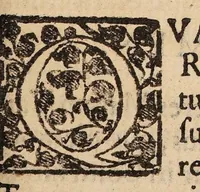 An illustration from Uterus muliebris hoc est de indiciis cognoscendi temperamenta uteri, vel partium genitalium ipsius mulieris. Liber unus ... Graecorum, Arabum, et Latinorum testimonia ad hanc doctrinam pertinentia (1601)