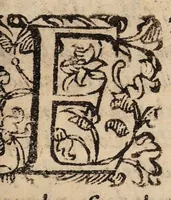 An illustration from De morbis, qui Imolae, et alibi communiter hoc anno M.DCII. vagati sunt, : commentariolum, in quo potissimum de lumbricis tractatur, et de morbo novo prolapsu scilicet mucronatae cartilaginis libellus. (1603)