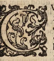An illustration from De morbis, qui Imolae, et alibi communiter hoc anno M.DCII. vagati sunt, : commentariolum, in quo potissimum de lumbricis tractatur, et de morbo novo prolapsu scilicet mucronatae cartilaginis libellus. (1603)