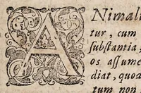 An illustration from Casp. Bartholini Malmogij Dani Problematvm philosophicorvm & medicorvm nobiliorum & rariorum miscell. exercitationes ad disputandum in illustri Albiacâ propositae (1611)