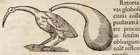 An illustration from Solis e puteo emergentis: sive dissertationis chymiotechnicae libri tres. In quibus totius operationis chymicae methodus practica: materia lapidis philosophici, et nodus [sic] solvendi ejus, operandique, ut et clavis operum Paracelsi qua abstrusa explicantur, deficientia supplentur. Cum praefatione chymiae veritatem asserente ... (1613)
