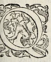 An illustration from De medicamento purgante quarta die dissertatio. In qua cum Hippocratis, tum Galeni auctoritatibus tumuè validissimis rationibus quarto die non esse purgandum statuitur. (1636)