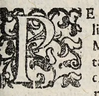 An illustration from De medicamento purgante quarta die dissertatio. In qua cum Hippocratis, tum Galeni auctoritatibus tumuè validissimis rationibus quarto die non esse purgandum statuitur. (1636)