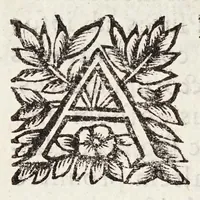An illustration from Opobalsami veteribus cogniti vindiciae (1644)