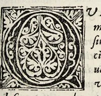 An illustration from Opobalsami veteribus cogniti vindiciae (1644)