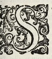 An illustration from Opobalsami veteribus cogniti vindiciae (1644)